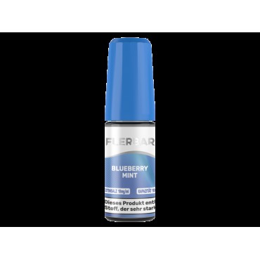 Flerbar - Nikotinsalz Liquid - Blueberry Mint